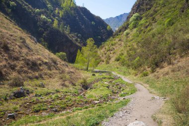 Altay dağ yolu Dağlardaki Yeşil vadi