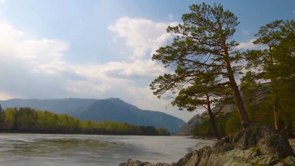 Η ακτή του ποταμού Κατούν στα βουνά Αλτάι. Chemal, Δημοκρατία του Αλάι, Σιβηρία, Ρωσία — Αρχείο Βίντεο