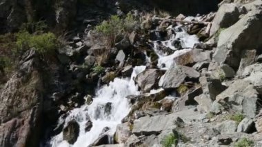 İlkbaharda dağlarda paslı-terk alpenrose ile Dere