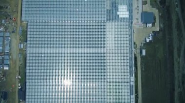 Cam Seralar için bitkisel üretim satırı. Havadan fotoğraf