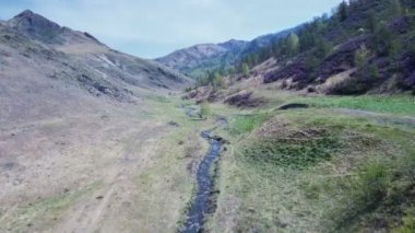 İlkbaharda dağlarda paslı-terk alpenrose ile Dere