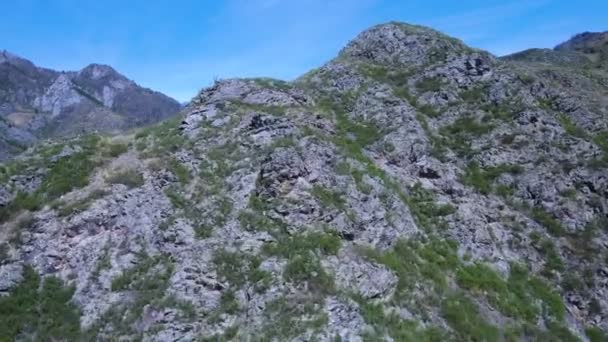 Lente in de bergen, droge berghellingen in het zuiden van Altay — Stockvideo