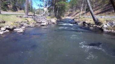 İlkbaharda dağlarda paslı-terk alpenrose ile Dere