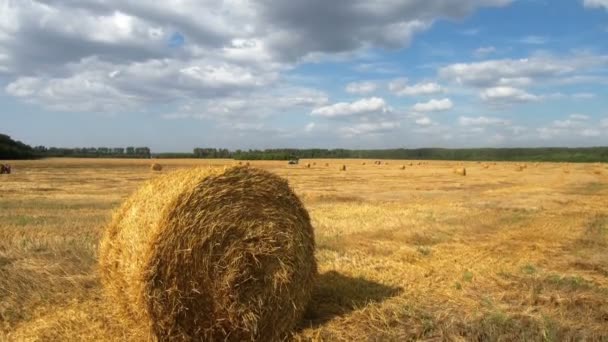 Atardecer dorado sobre campo de granja con fardos de heno — Vídeo de stock