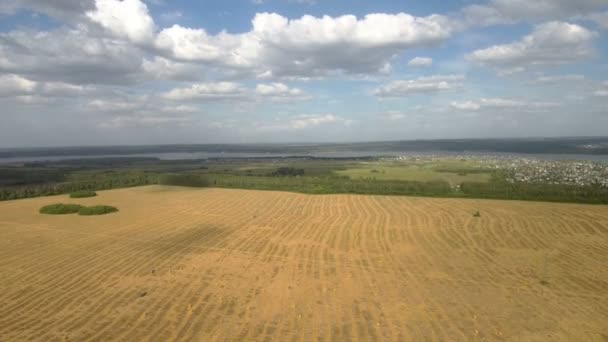 Coucher de soleil doré sur un champ agricole avec balles de foin — Video