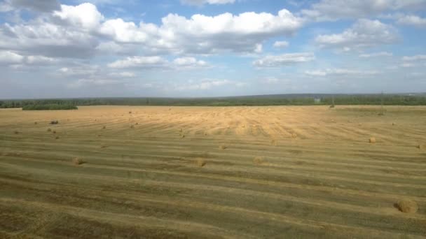Pôr do sol dourado sobre campo de fazenda com fardos de feno — Vídeo de Stock