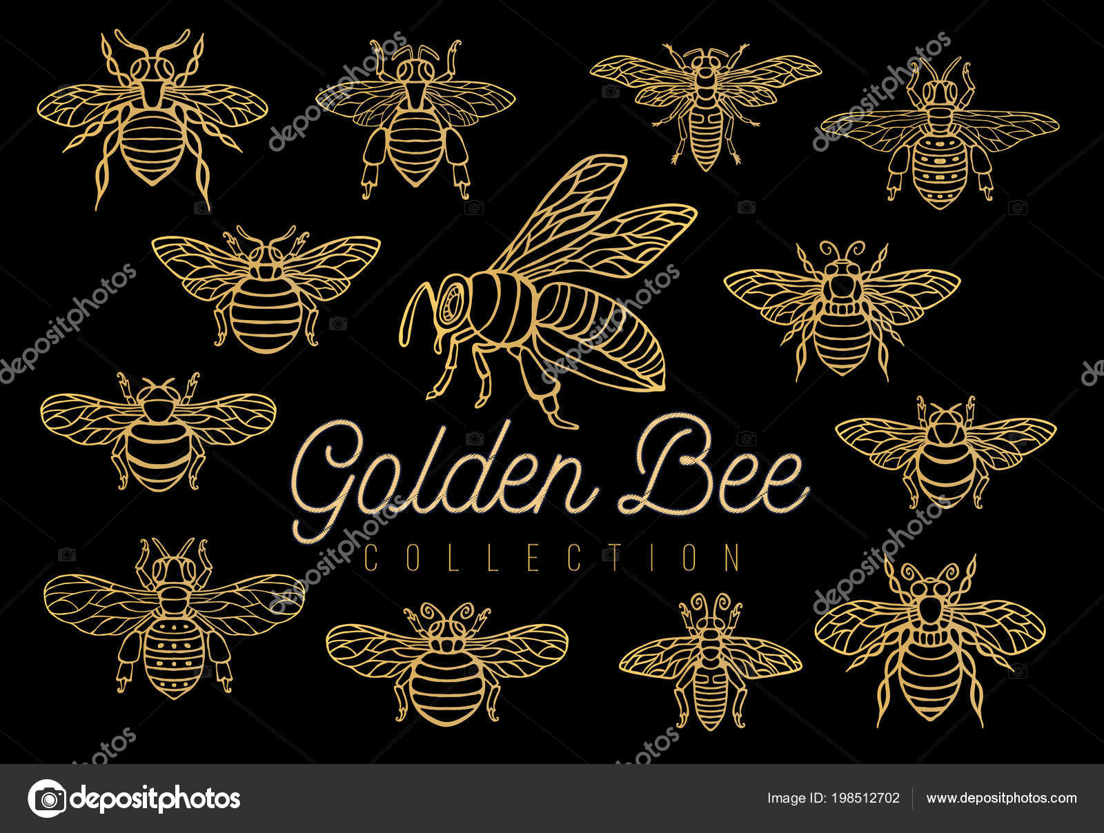 Honey Bee Bumblebees Wasps Set Sketch Style Collection