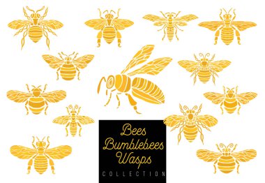 Bal arı bumblebees eşekarısı set kroki tarzı toplama INSERT amblemi sembolleri kanatlar
