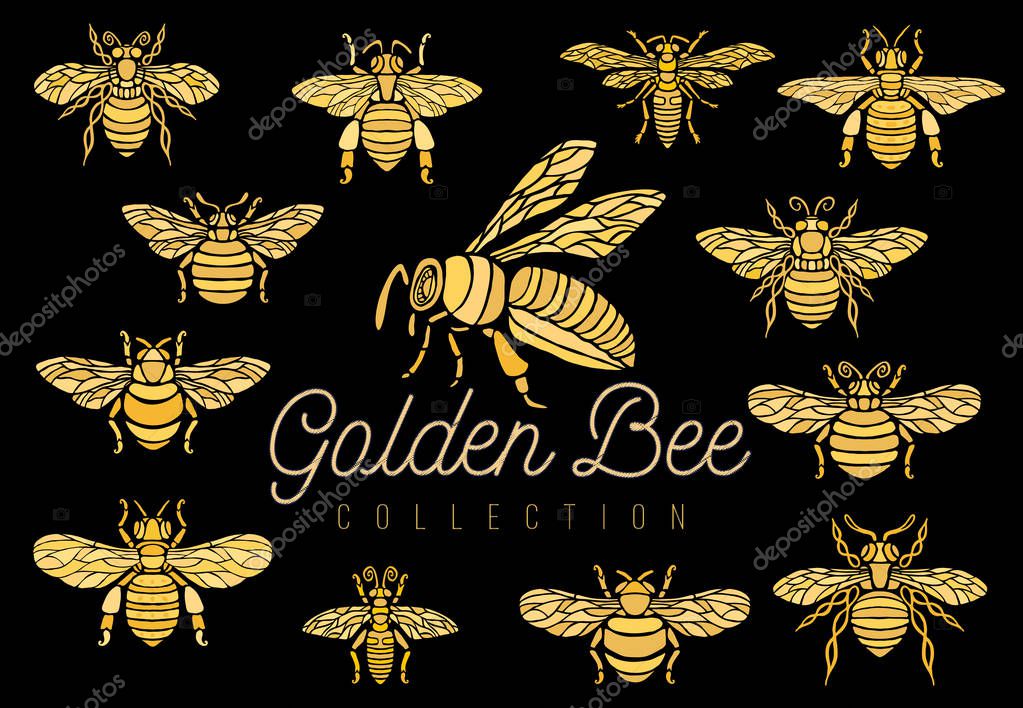 Honey bee bumblebees wasps set sketch style collection insert wings emblem symbols Hand drawn vector engraving illustration