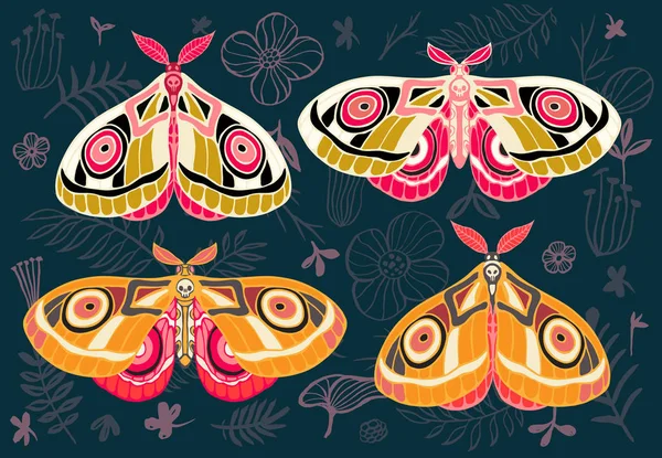 Samling Färgglada Fjärilar Natt Tropiska Fjärilar Hawkmoth Blommig Bakgrund Vektor — Stock vektor