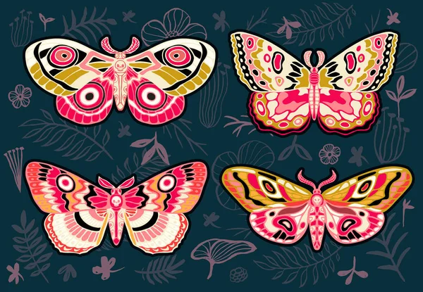 Samling Färgglada Fjärilar Natt Tropiska Fjärilar Hawkmoth Blommig Bakgrund Vektor — Stock vektor