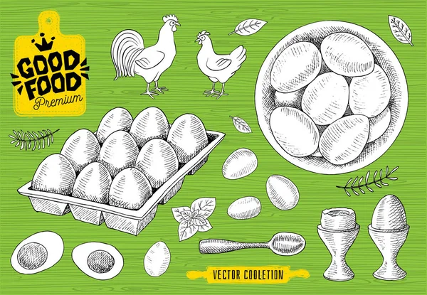 Conjunto de huevos, plato, han, bandeja de huevo. Huevos crudos, desayuno, cuchara, estilo boceto, fondo blanco. Buen mercado de alimentos premium, diseño de logotipo, tienda . — Vector de stock