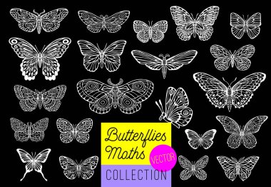 Kelebekler vektör set, izole, çizim tarzı toplama INSERT kanatları amblemi sembolleri, siyah, beyaz arka plan kroki. Çizilmiş vektör çizim el.