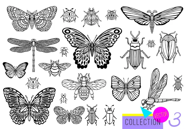 Juego de insectos, escarabajos, abejas melíferas, mariposas, abejorros, avispas, libélulas, saltamontes. Silueta estilo de boceto vintage ilustración grabada . — Archivo Imágenes Vectoriales