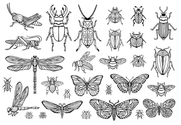 Große handgezeichnete Linie mit Insekten, Käfern, Honigbienen, Schmetterlingen, Hummeln, Wespen, Libellen, Heuschrecken. Silhouette Vintage Skizze Stil gravierte Illustration. — Stockvektor