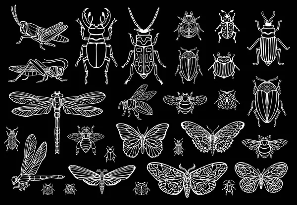 Big hand drawn line set of insects bugs, beetles, honey bees, butterfly moth, bumblebee, wasp, dragonfly, grasshopper. Silhouette vintage sketch style engraved illustration. — Stock Vector