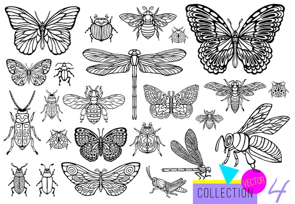 Juego de insectos, escarabajos, abejas melíferas, mariposas, abejorros, avispas, libélulas, saltamontes. Silueta estilo de boceto vintage ilustración grabada . — Archivo Imágenes Vectoriales