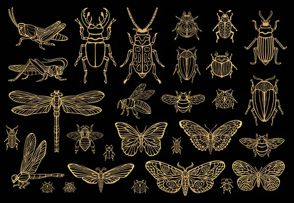 Big hand drawn golden line set of insects bugs, beetles, honey bees, butterfly, moth, bumblebee, wasp, dragonfly, grasshopper. Silhouette vintage gold silver sketch style vector illustration — Stock Vector