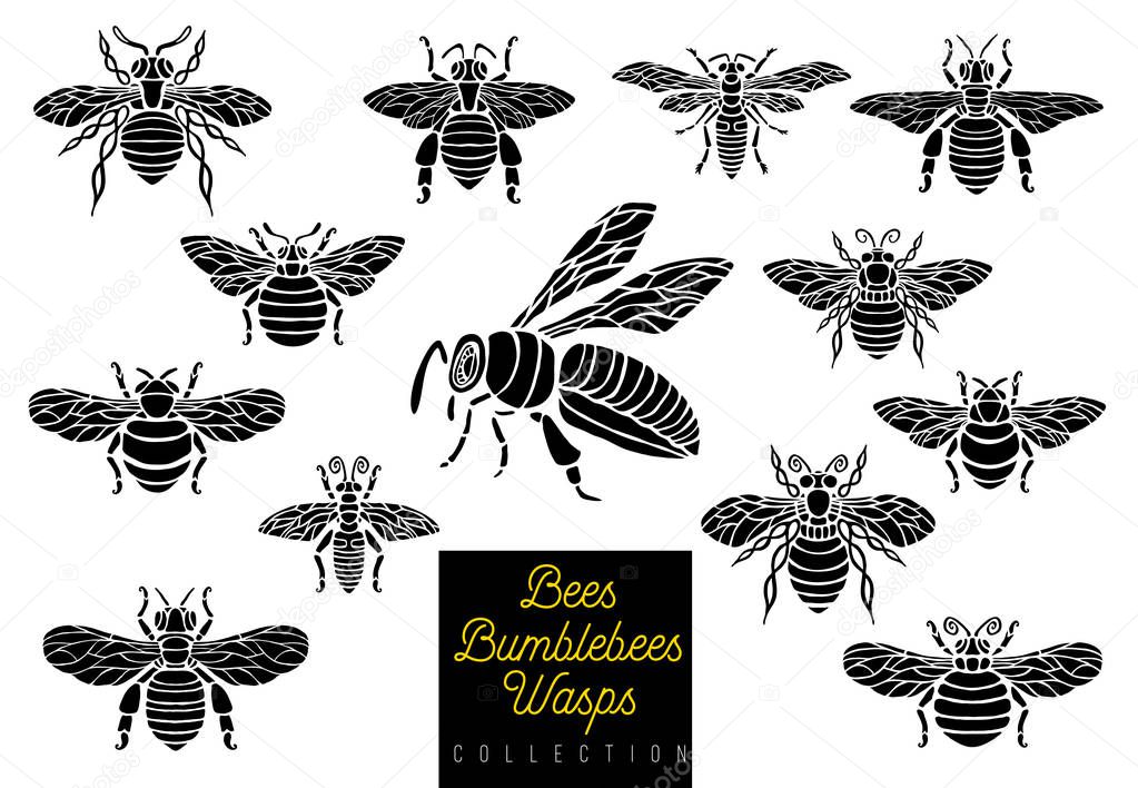 Honey bee bumblebees wasps set sketch style monochrome collection insert wings emblem symbols Hand drawn vector engraving illustration