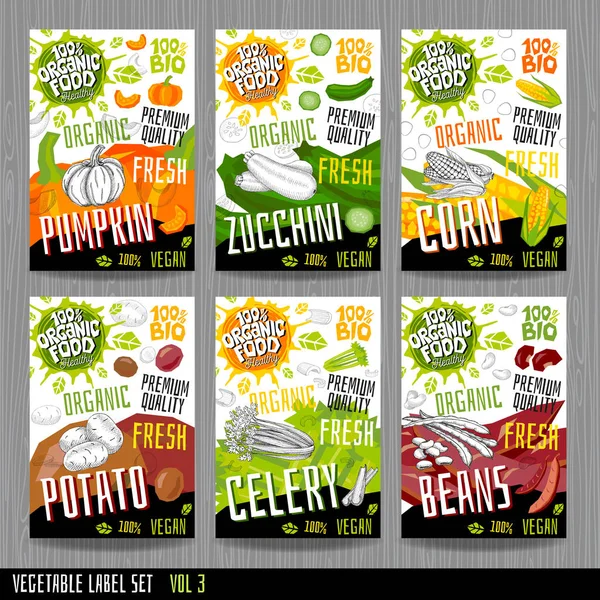 Etiqueta de alimentos conjunto pegatinas colección etiquetas vegetales especias diseño del paquete. Calabaza, calabacín, maíz, apio, papa, frijoles. Orgánica, fresca, bio, ecológica. Ilustración vectorial dibujada a mano . — Archivo Imágenes Vectoriales