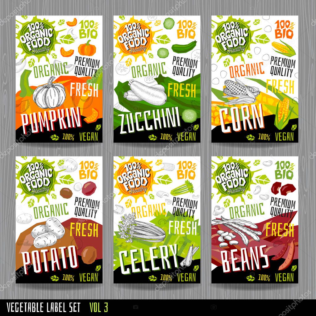 Food label set stickers collection vegetable labels spices package design. Pumpkin, zucchini, corn, celery, potato, beans. Organic, fresh, bio, eco. Hand drawn vector illustration.