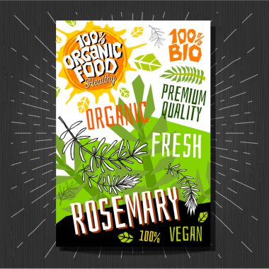 Gıda etiketleri çıkartmalar renkli kroki tarzı meyve, baharat sebze paket tasarımı ayarlayın. Biberiye otlar. Bitkisel etiket. Organik, taze, biyo, Eko. El çizilmiş vektör çizim.