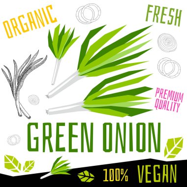 Yeşil soğan simgesi etiket taze organik sebze, sebze fındık otlar baharat çeşni renk grafik tasarım vegan gıda. Elle çizilmiş vektör çizimleri.