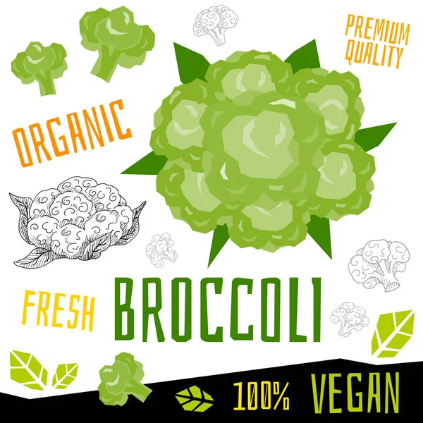 Broccoli icon eticheta legume proaspete organice, legume nuci ierburi condimente culoare design grafic alimente vegane. Ilustrații vectoriale desenate manual . — Vector de stoc