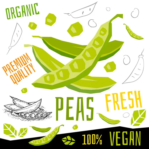 Hrách ikona štítek čerstvá organická zelenina, zelenina ořechy byliny koření barva grafika Design veganské jídlo. Ručně kreslené vektorové ilustrace. — Stockový vektor