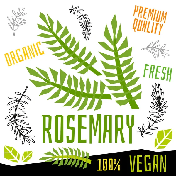 Rosemary ikon címke friss bio zöldség, zöldség dió gyógynövények fűszer fűszerkeverék színes grafikai tervezés vegán étel. Kézzel rajzolt vektorábrák. — Stock Vector