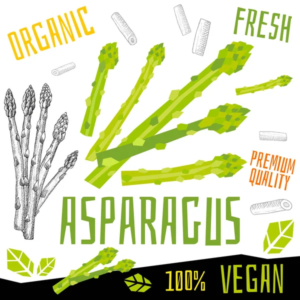 Sparris lök ikonetikett färska organiska grönsaker, grönsaker nötter örter krydda krydda färg grafisk design vegansk mat. Handritade vektor illustrationer. — Stock vektor