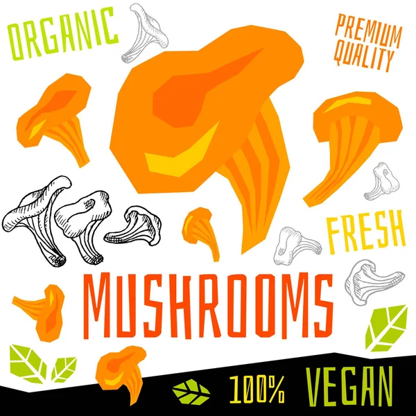 Cogumelos ícone rótulo vegetal orgânico fresco, legumes nozes ervas tempero condimento cor design gráfico comida vegan. Ilustrações vetoriais desenhadas à mão . —  Vetores de Stock