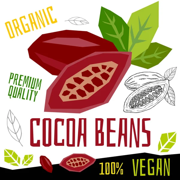 Cacao frijoles icono de chocolate etiqueta de hierbas fresco condimento orgánico, frutos secos hierbas especias condimento color gráfico diseño comida vegana. ilustraciones vectoriales dibujadas a mano . — Archivo Imágenes Vectoriales