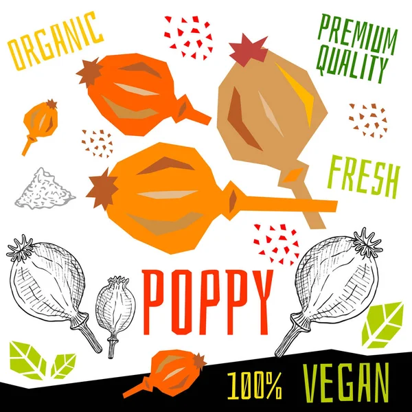 Icono de amapola etiqueta de hierbas fresco condimento orgánico, frutos secos hierbas especias condimento color gráfico diseño comida vegana. ilustraciones vectoriales dibujadas a mano . — Vector de stock