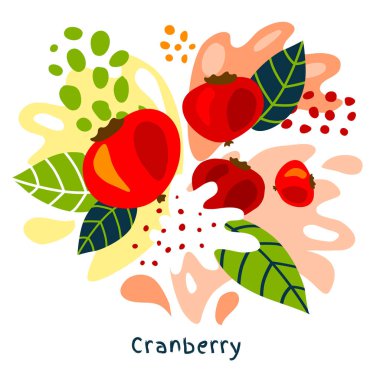 Taze kızılcık berry çilek meyve suyu sıçrama organik gıda sulu kızılcık özet leri soyut arka plan üzerinde sıçrama