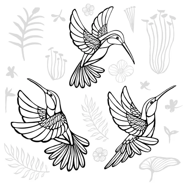 Colibríes con elementos florales pájaros negros en líneas sobre fondo blanco estilo boceto tatuaje. Ilustración vectorial dibujada a mano . — Archivo Imágenes Vectoriales