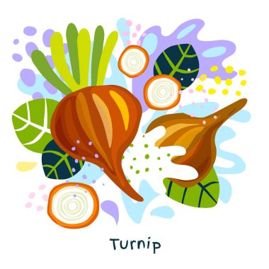 Taze şalgam pancar sebze suyu sıçrama organik gıda sebze çeşni baharat soyut coloful splatter sıçrama arka plan vektör el çizilmiş çizimler üzerine sıçrayan