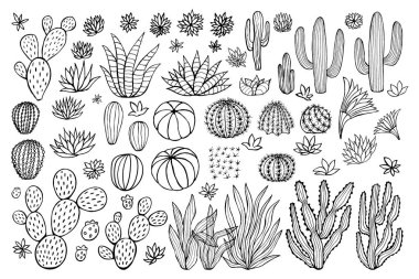 Kaktüs sulu koleksiyonu. Kaktüsler kabataslak tarzı pastel arka plan. El çizilmiş kaktüsler vektör illüstrasyon