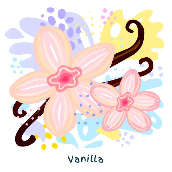 Fresh flowers vanilla sticks juice splash organic food condiment spice splatter. Spicy herbs nuts. Abstract colorful art splatter splash background. Vector hand drawn illustration — Stock Vector