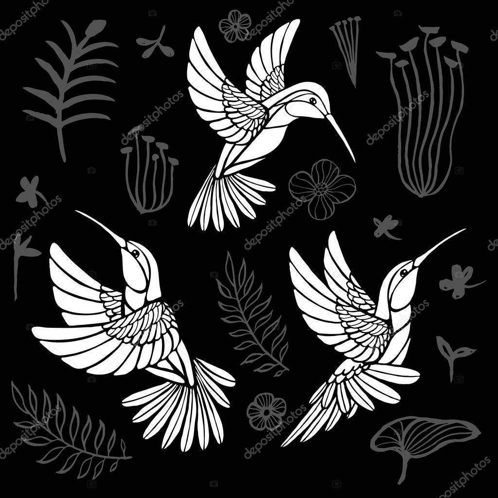 Hummingbirds with floral elements black birds in lines on white background tattoo sketch style. Hand drawn vector illustration.