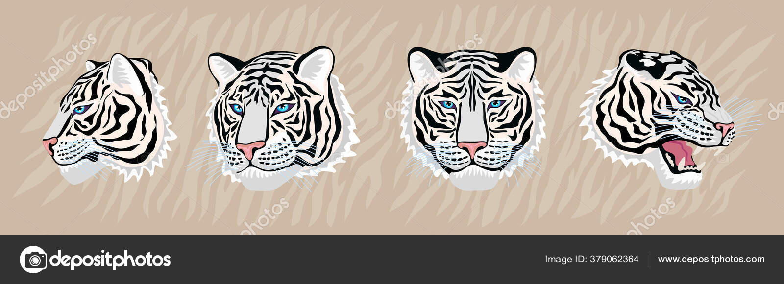 Portrait De Modèle De Tigre Blanc Illustration Stock