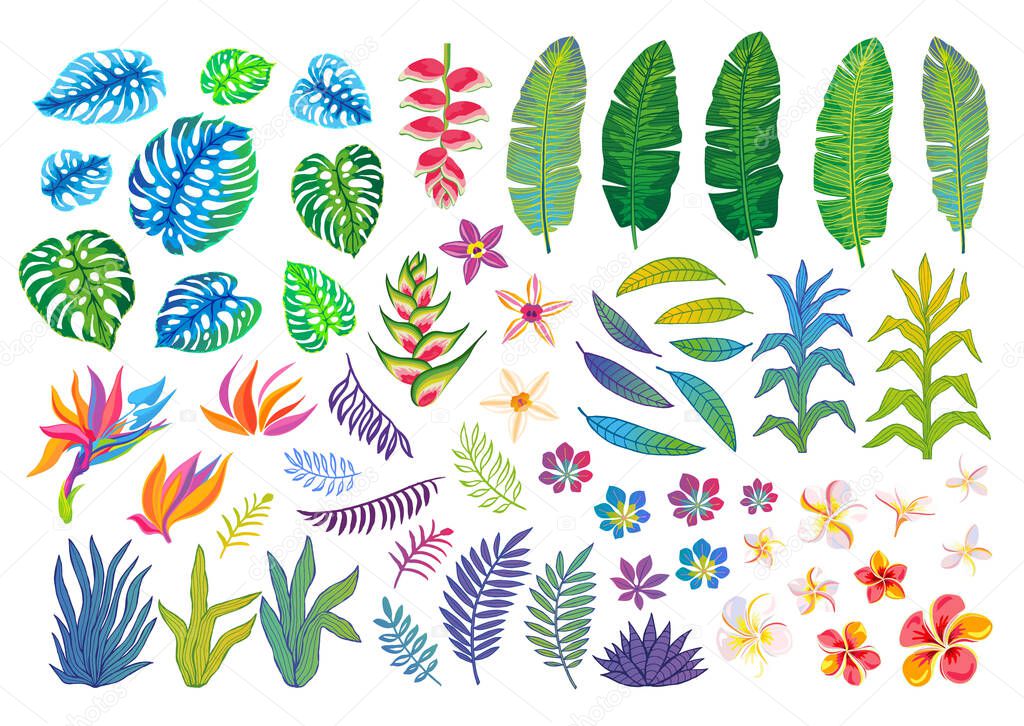 Set of abstract tropical plants, flowers, leaves. Vector design isolated elements. Wildlife colorful floral jungle. Rainforest art background. Vector illustration