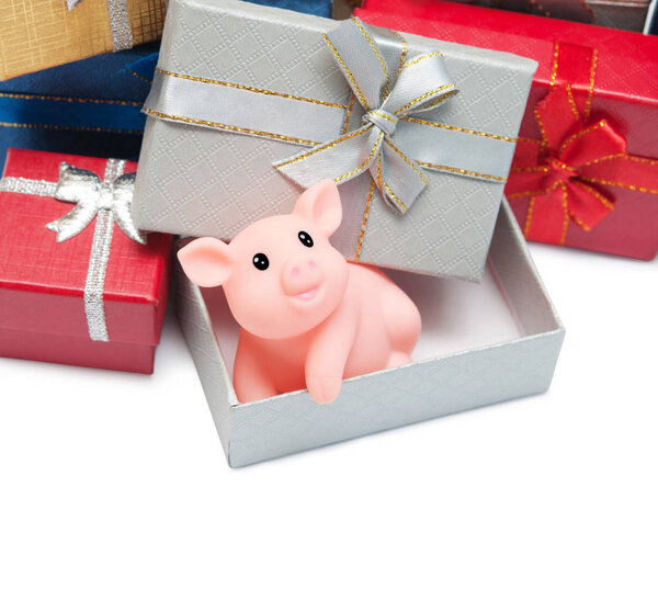 The pig is a symbol of the year 2019 in the Chinese calendar. Piglet in a festive box. Festive background.