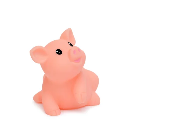 Porco Símbolo Ano 2019 Calendário Chinês Porquinho Isolado Fundo Branco — Fotografia de Stock