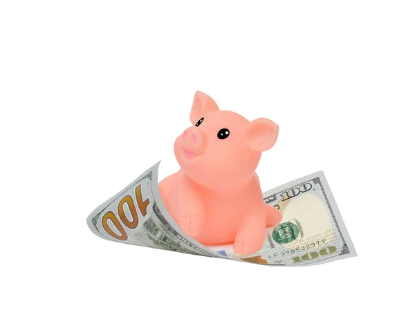 Symbolem 2019 Rok Różowy Świnia Latający Stu Dolarowy Finansowych Koncepcji Obrazek Stockowy