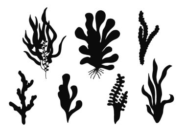 Yosun gıda akvaryum sualtı siluet vektör. derin deniz nesne