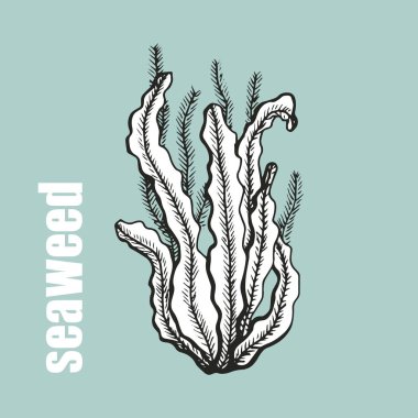 Yosun gıda akvaryum sualtı siluet vektör. derin deniz nesne