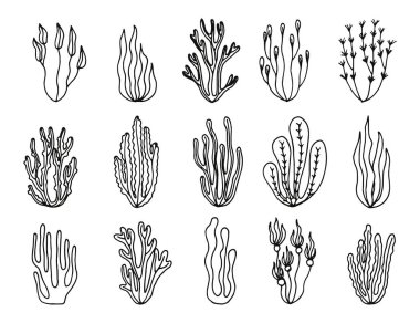 Yosun gıda akvaryum sualtı siluet vektör. derin deniz nesne