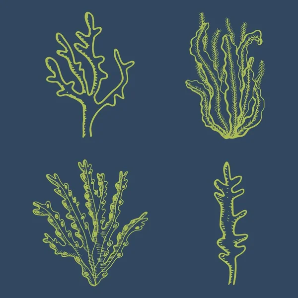 海藻食品水族馆水下剪影向量 深水物体 — 图库矢量图片