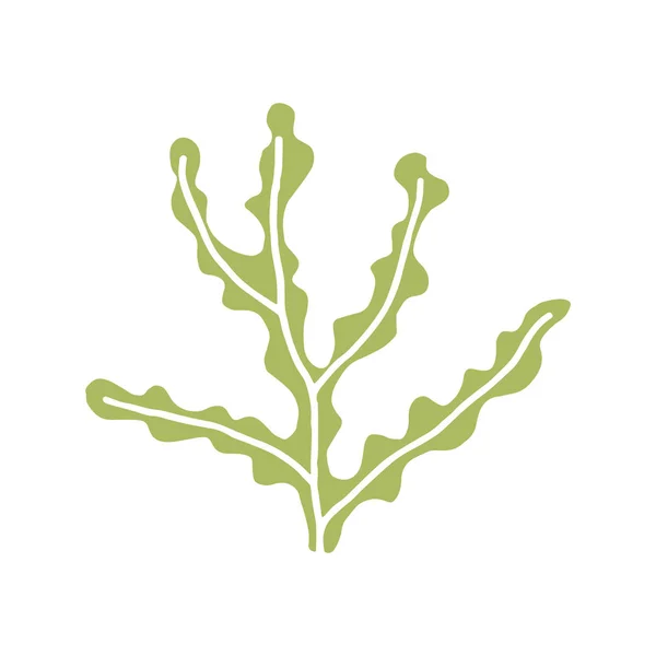 Croquis Vectoriel Algues Marines Comestibles Sous Marines Dessin Isolé Noir — Image vectorielle